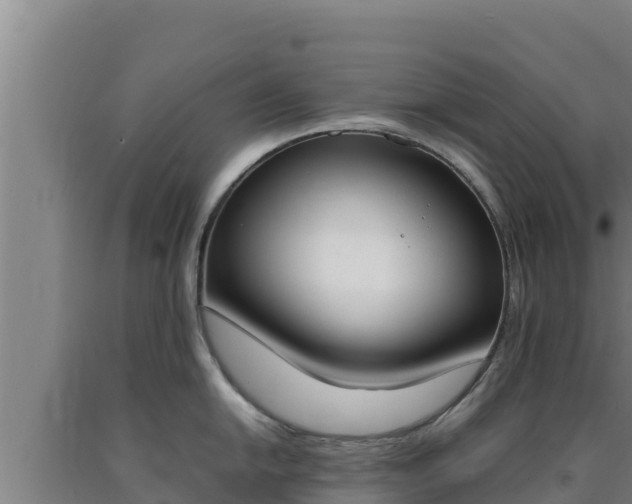 X0000090741054200707271420
