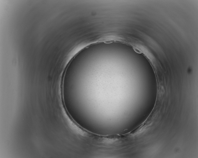 X0000090741055200707271420