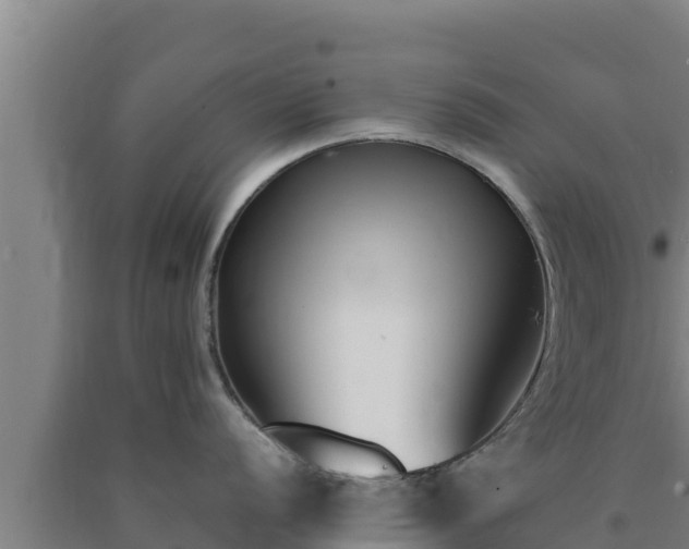 X0000090741056200707271420