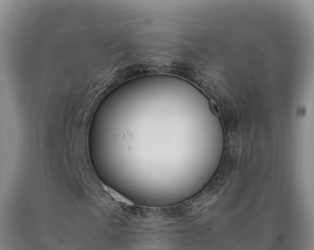 X0000090741057200707271420