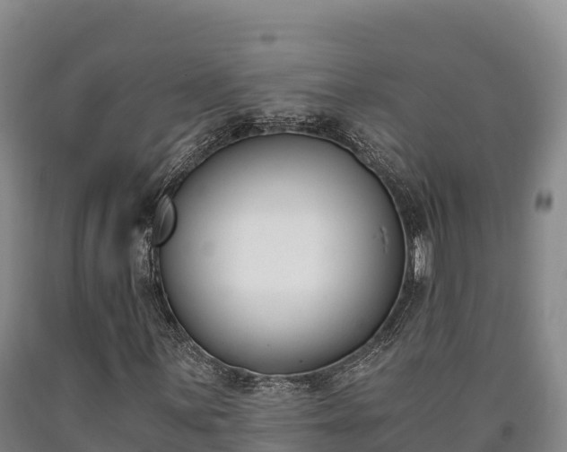 X0000090741059200707271419