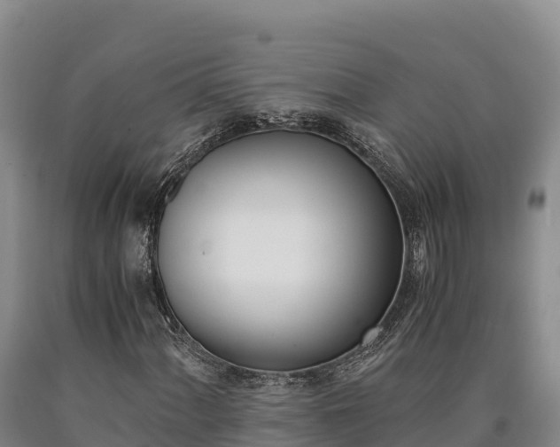X0000090741060200707271419