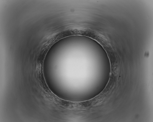 X0000090741061200707271419