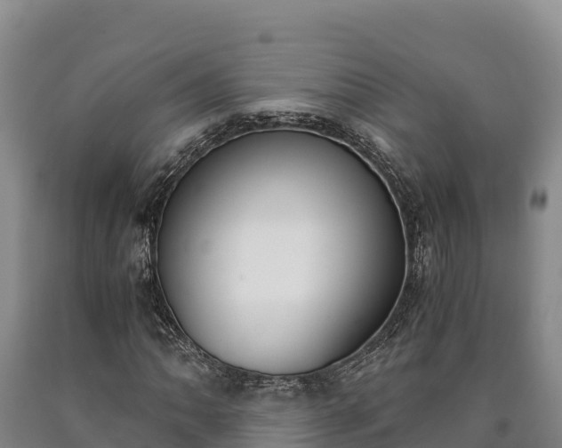 X0000090741062200707271419