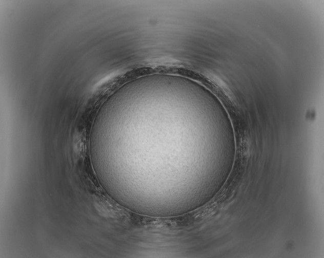 X0000090741063200707271419