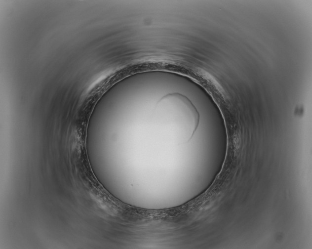 X0000090741064200707271419