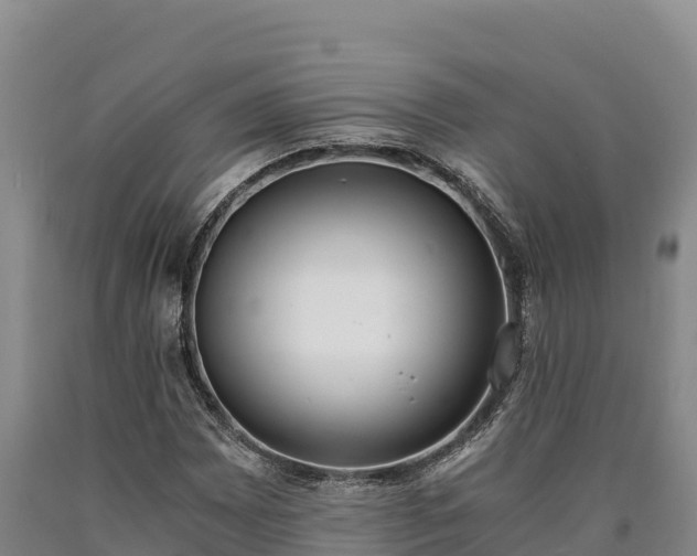 X0000090741065200707271419
