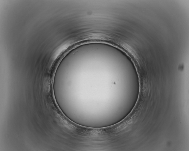 X0000090741067200707271419