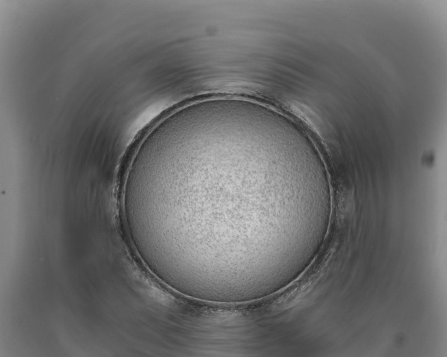 X0000090741071200707271419
