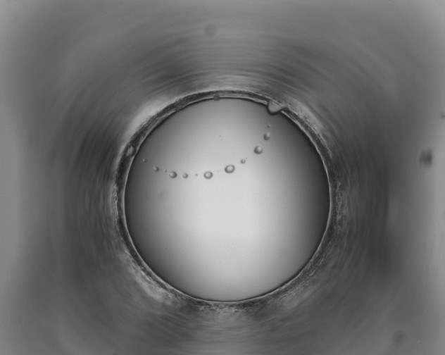 X0000090741072200707271419