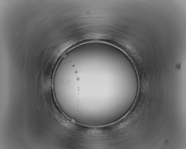 X0000090741073200707271419