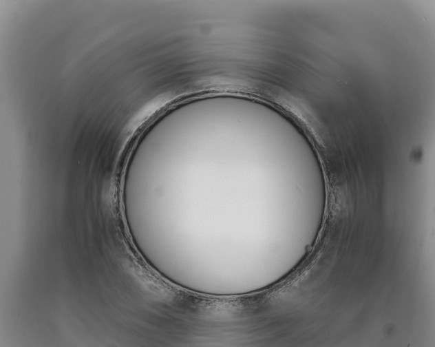 X0000090741074200707271419