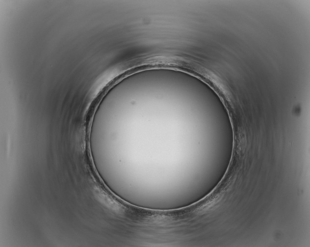 X0000090741075200707271419