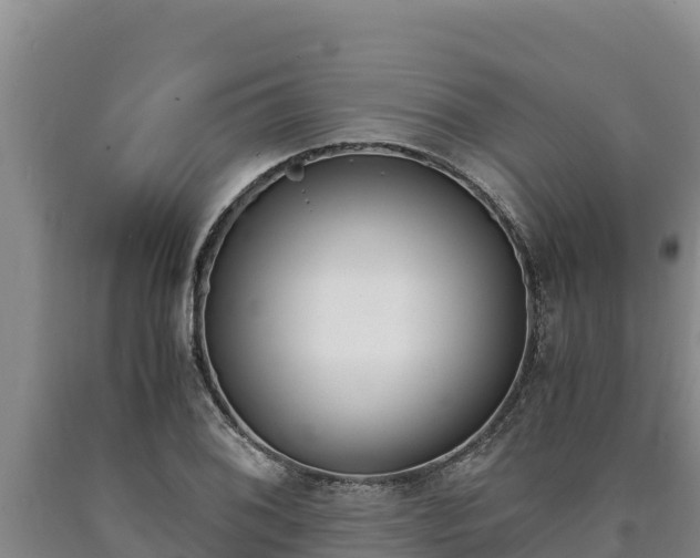 X0000090741076200707271419