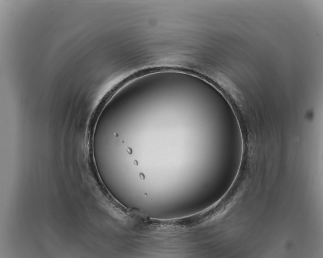 X0000090741077200707271419