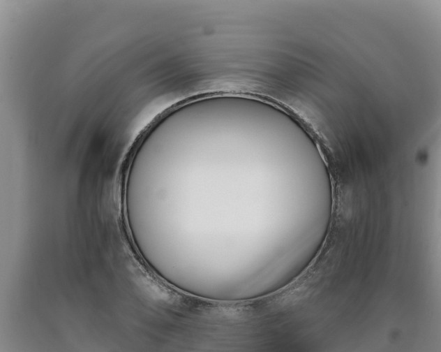 X0000090741078200707271419