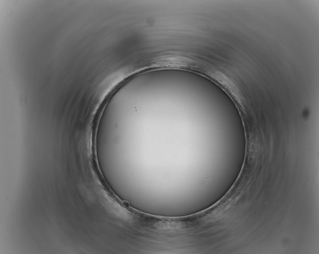 X0000090741083200707271419