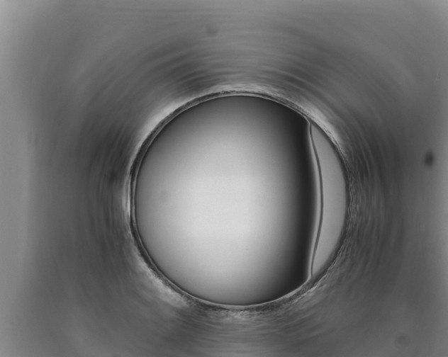 X0000090741084200707271419