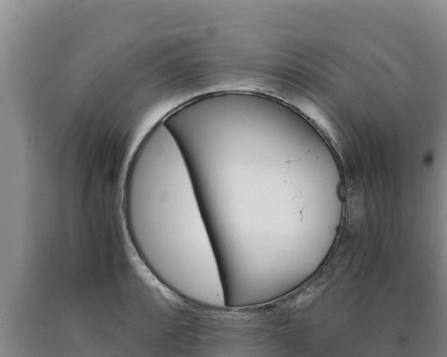 X0000090741088200707271419