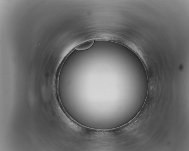 X0000090741091200707271419