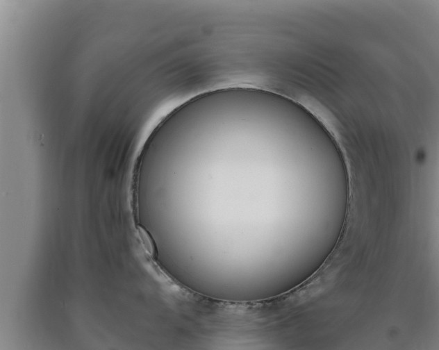 X0000090741104200707271419