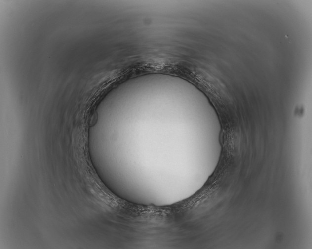 X0000090741105200707271418