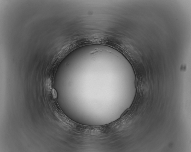 X0000090741106200707271418