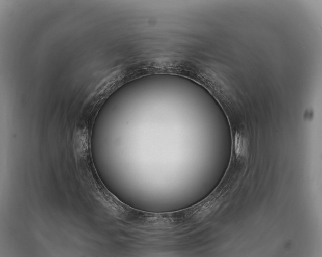 X0000090741107200707271418