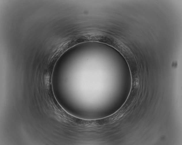 X0000090741108200707271418