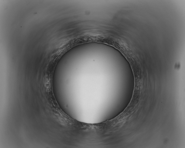 X0000090741109200707271418