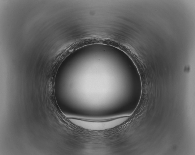 X0000090741110200707271418