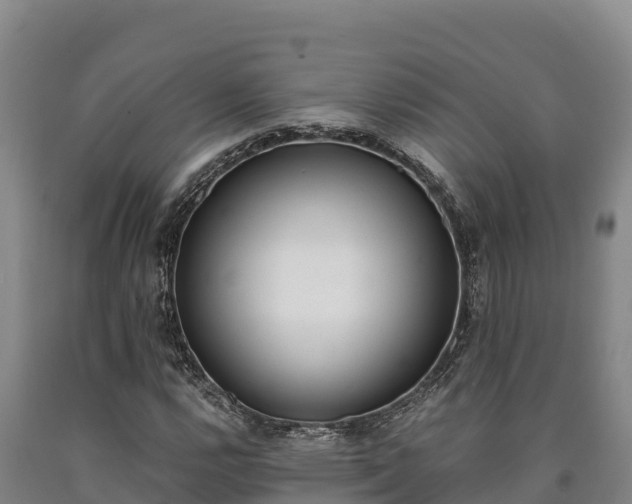 X0000090741112200707271418