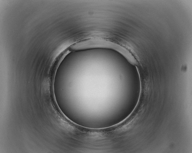 X0000090741114200707271418