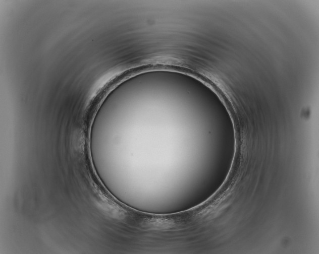 X0000090741115200707271418