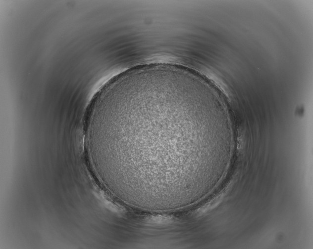 X0000090741117200707271418