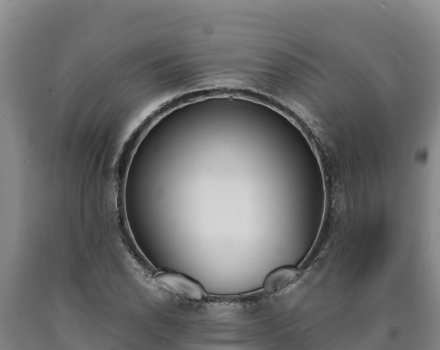 X0000090741118200707271418