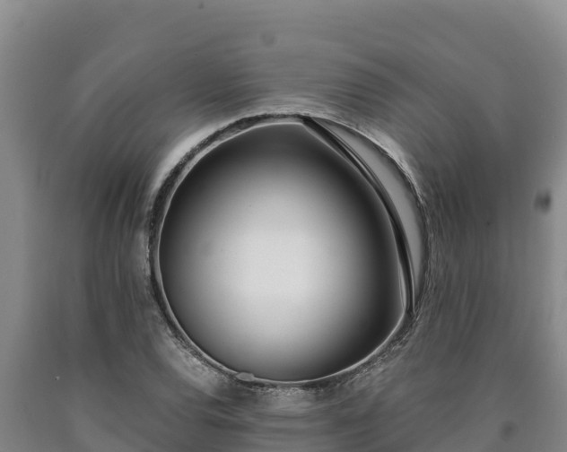 X0000090741120200707271419