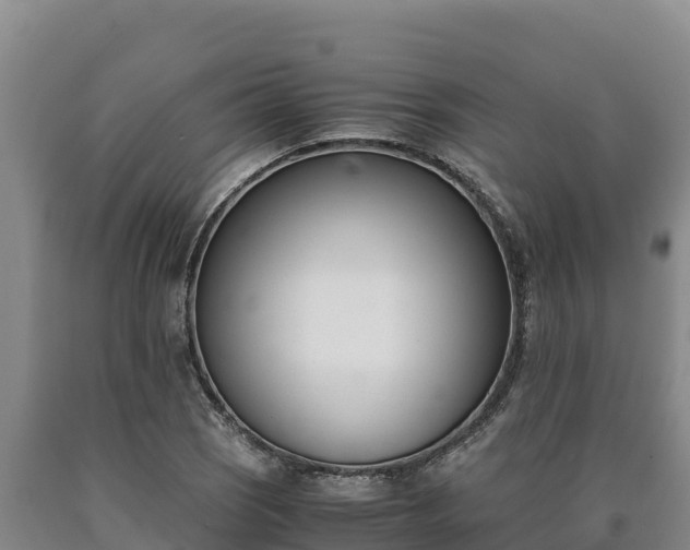 X0000090741121200707271419
