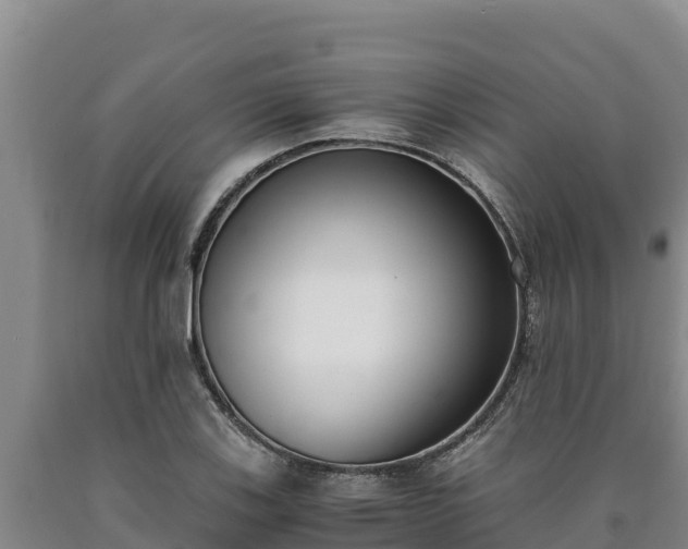 X0000090741123200707271419