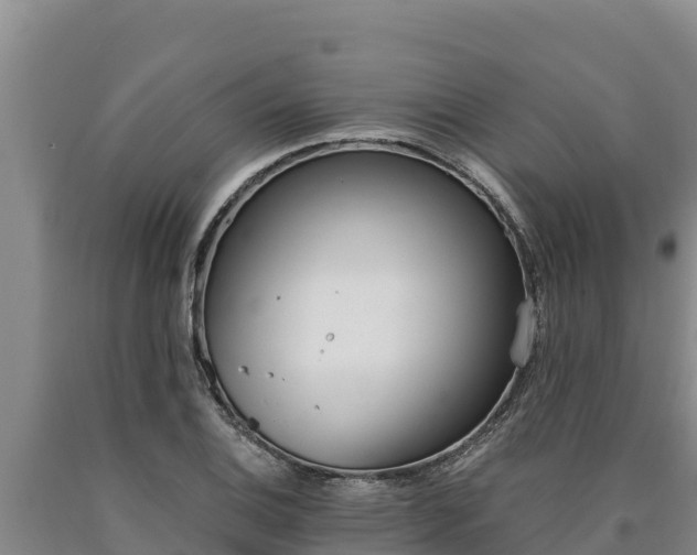X0000090741124200707271419