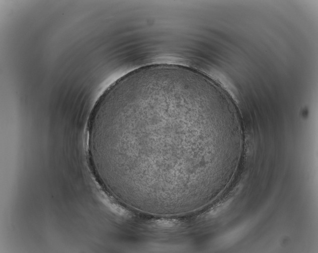 X0000090741125200707271419