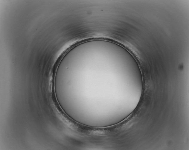 X0000090741126200707271419