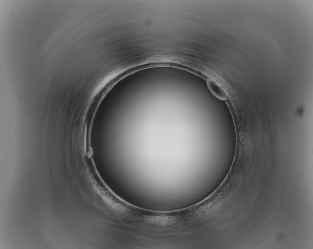 X0000090741127200707271419