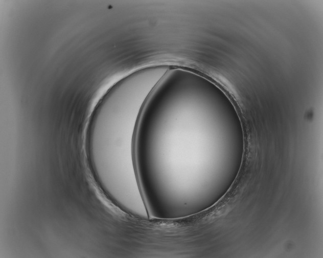 X0000090741128200707271419