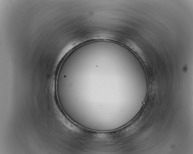 X0000090741130200707271419