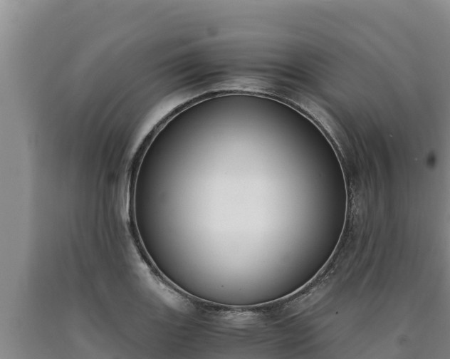 X0000090741131200707271419