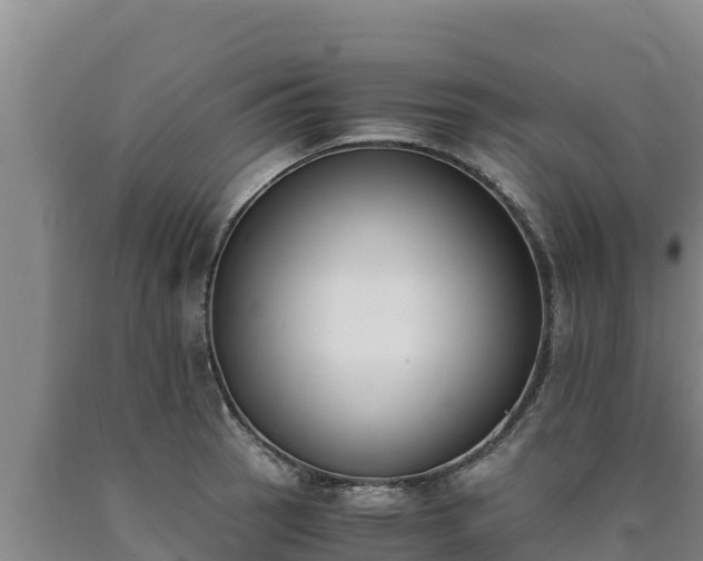 X0000090741137200707271419