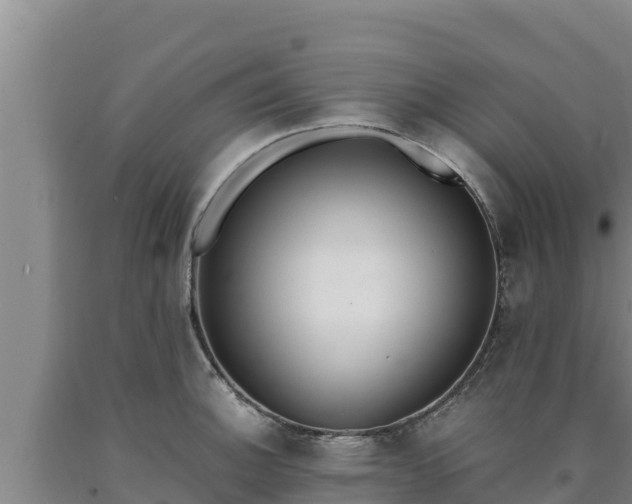 X0000090741140200707271419