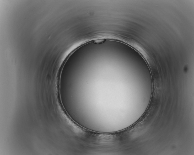 X0000090741142200707271419