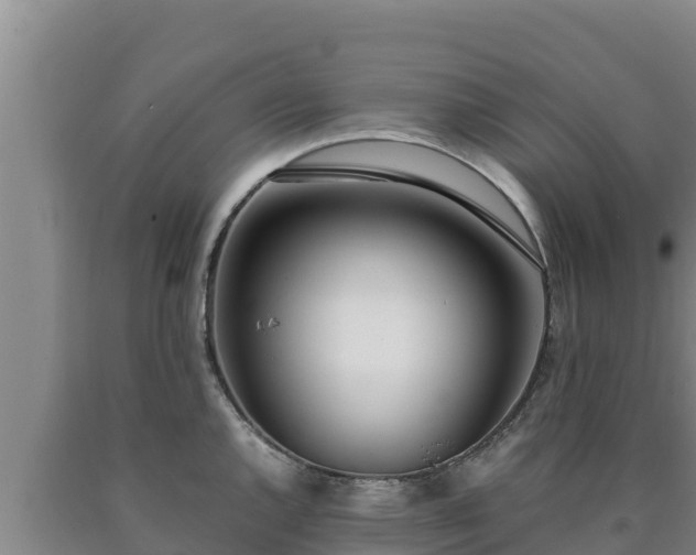 X0000090741144200707271419